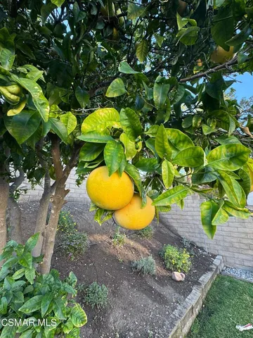 a view of a yellow and green space