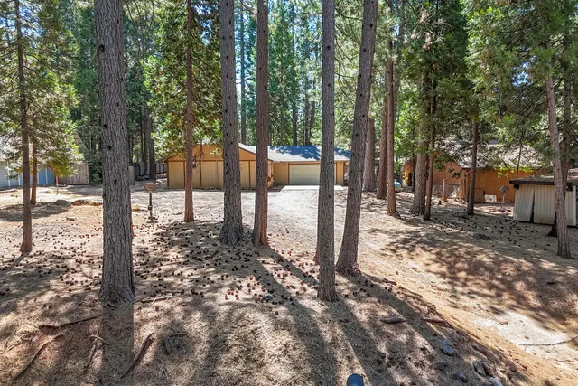 a view of a yard with trees