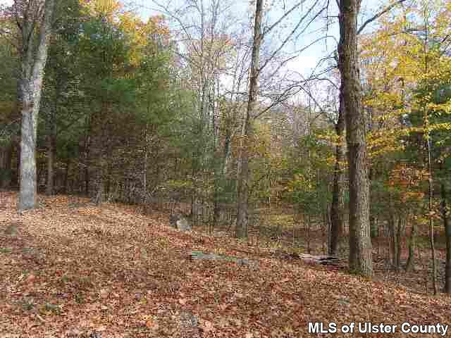 110 Ridgeview Road, Unit READY TO BUILD Kerhonkson, NY 12446 - Photo 3 of 3 Photo 4
