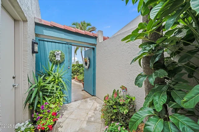 a plant is in front of a door