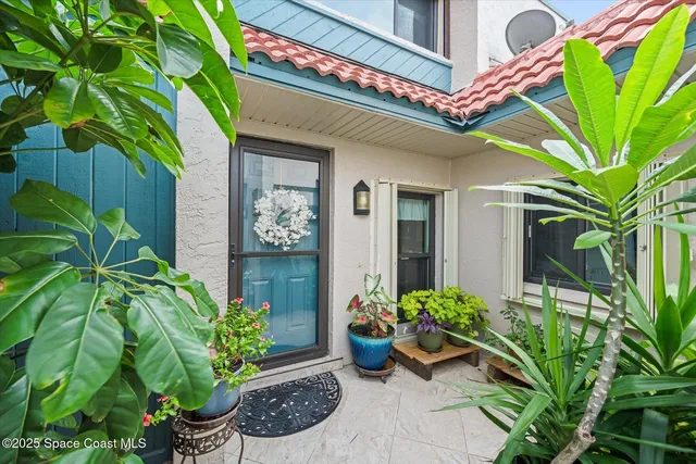 a potted plant sitting in front of a house