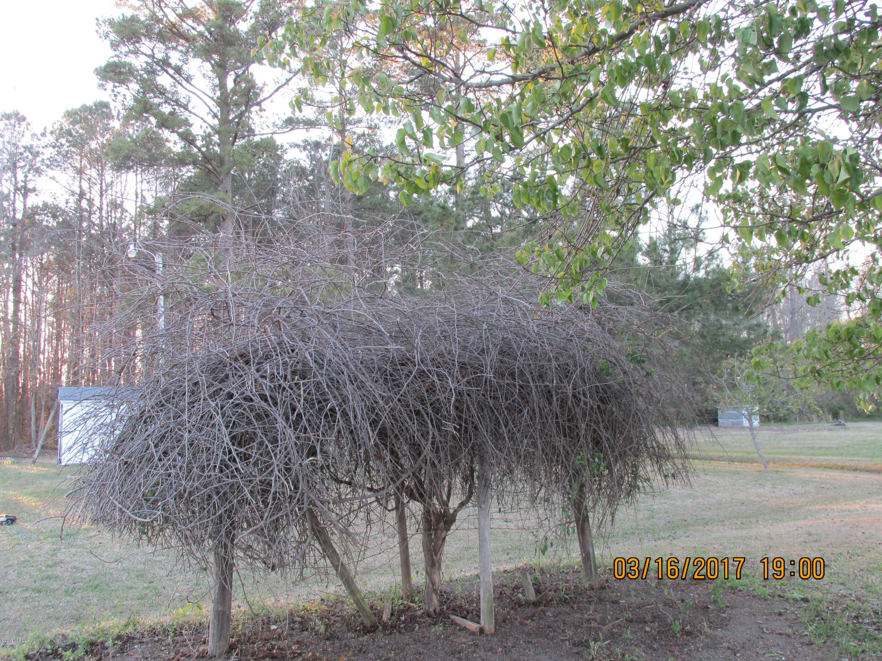 3905 Weaver Road Wilson, NC 27893 - Photo 3 of 16 weaver road property 004