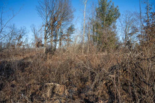 $8,000 | Lot 1 Grosbeak, Tomah, WI 54660