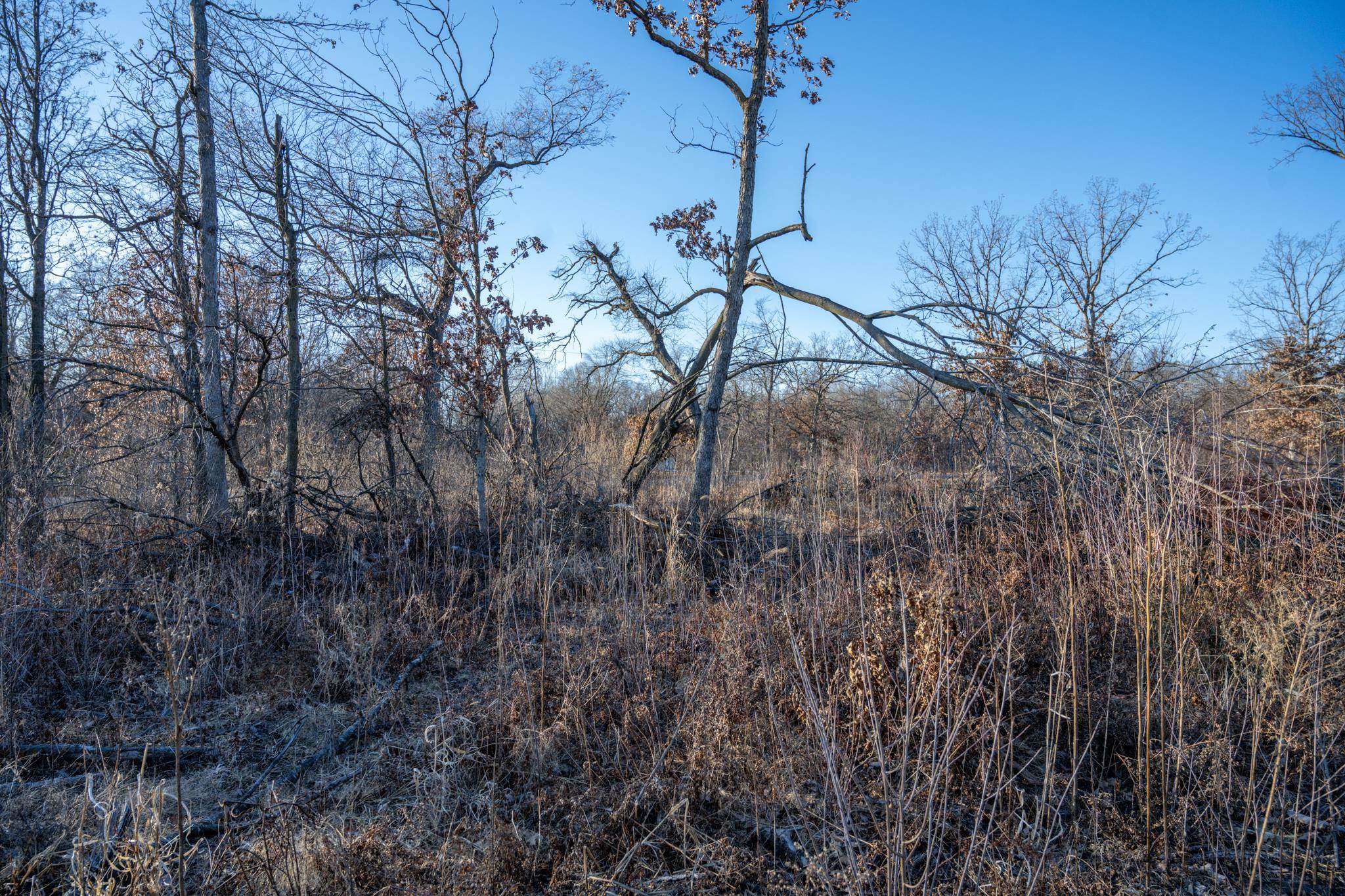 Lot 1 Grosbeak Tomah, WI 54660 - Photo 13 of 24