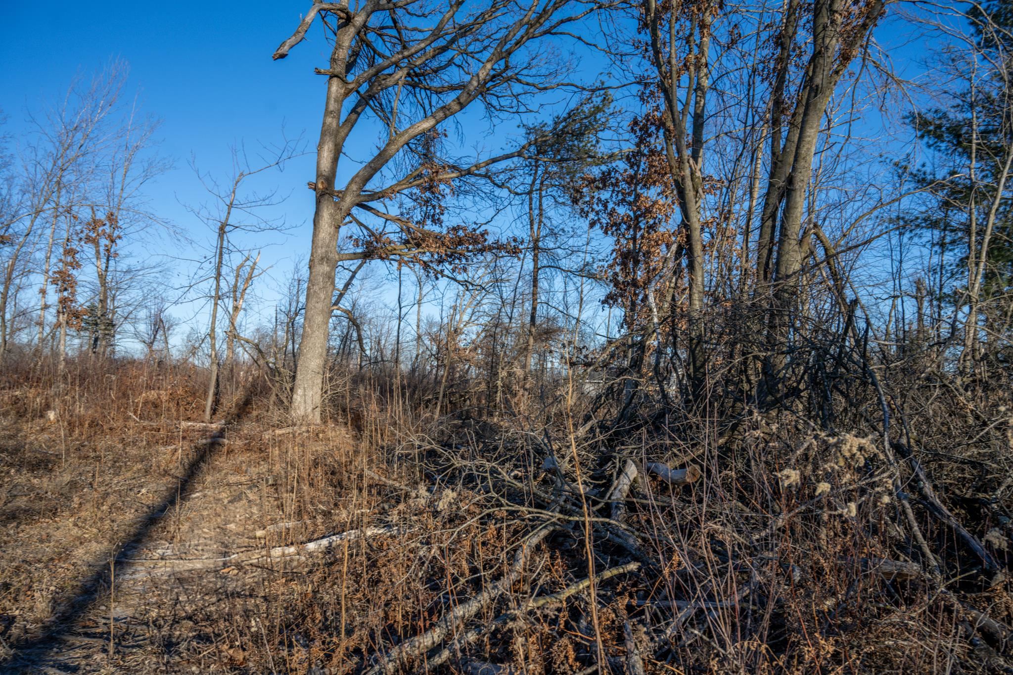 Lot 1 Grosbeak Tomah, WI 54660 - Photo 15 of 24