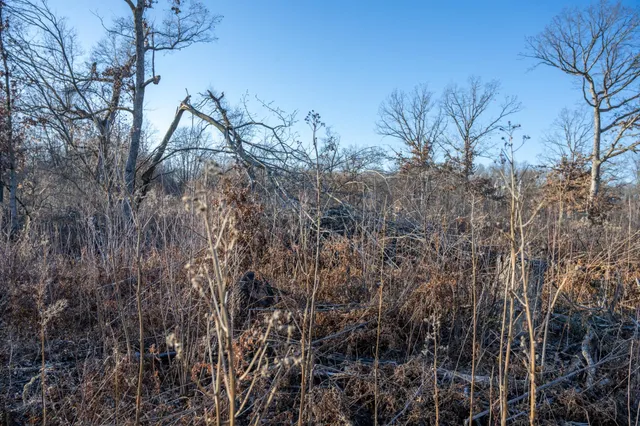 $8,000 | Lot 1 Grosbeak, Tomah, WI 54660