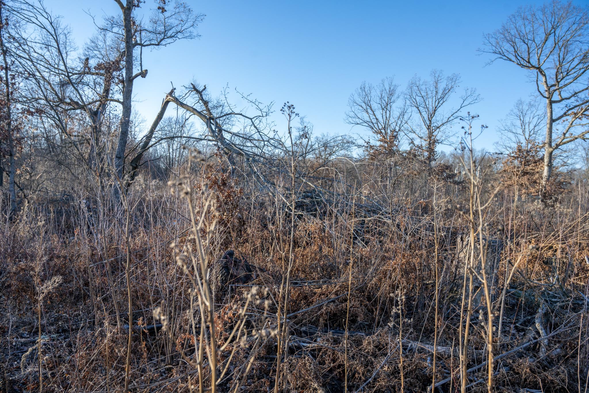 Lot 1 Grosbeak Tomah, WI 54660 - Photo 16 of 24