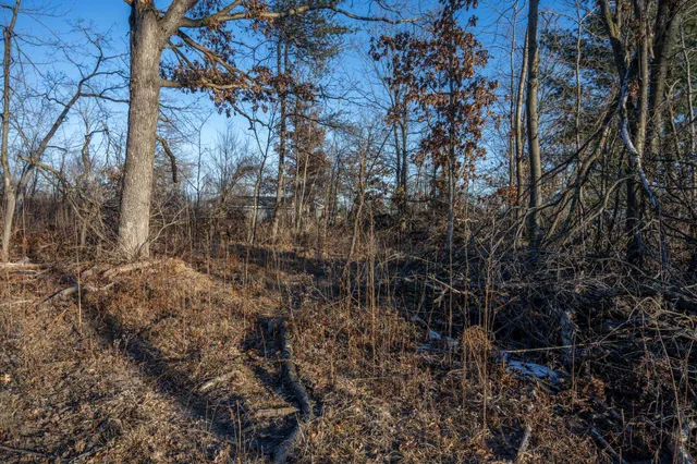 $8,000 | Lot 1 Grosbeak, Tomah, WI 54660