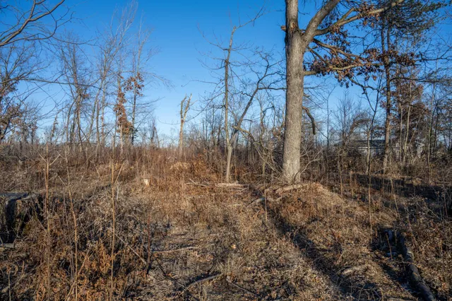 $8,000 | Lot 1 Grosbeak, Tomah, WI 54660