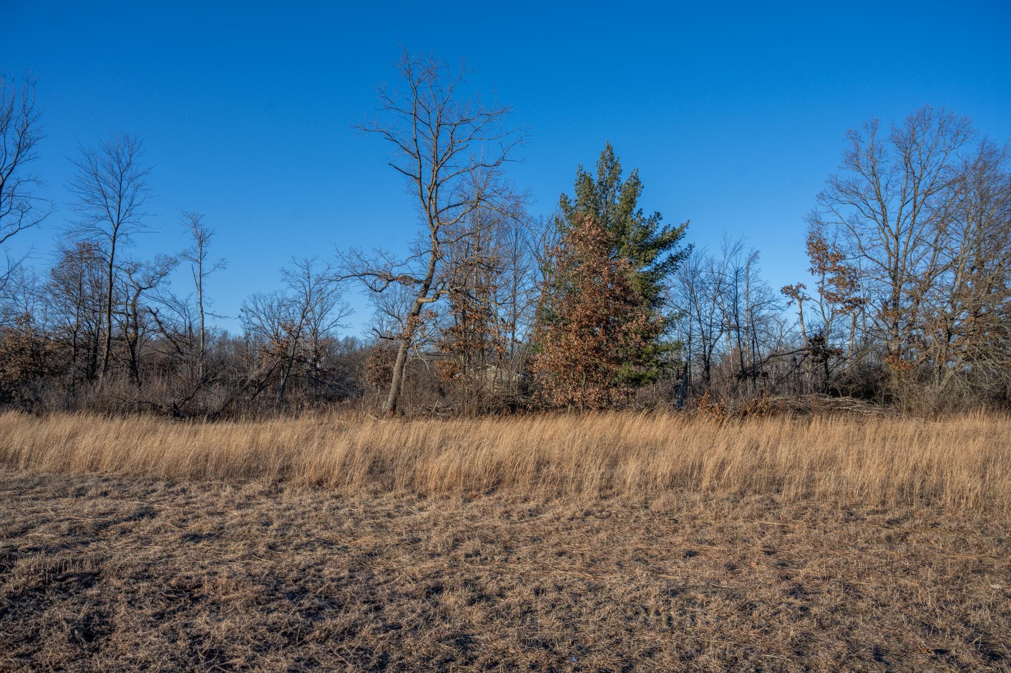 Lot 1 Grosbeak Tomah, WI 54660 - Photo 22 of 24