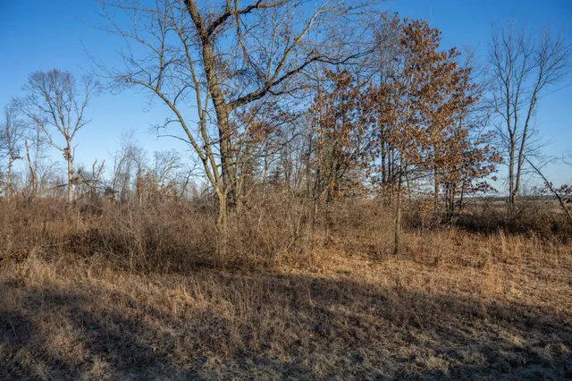 $8,000 | Lot 1 Grosbeak, Tomah, WI 54660