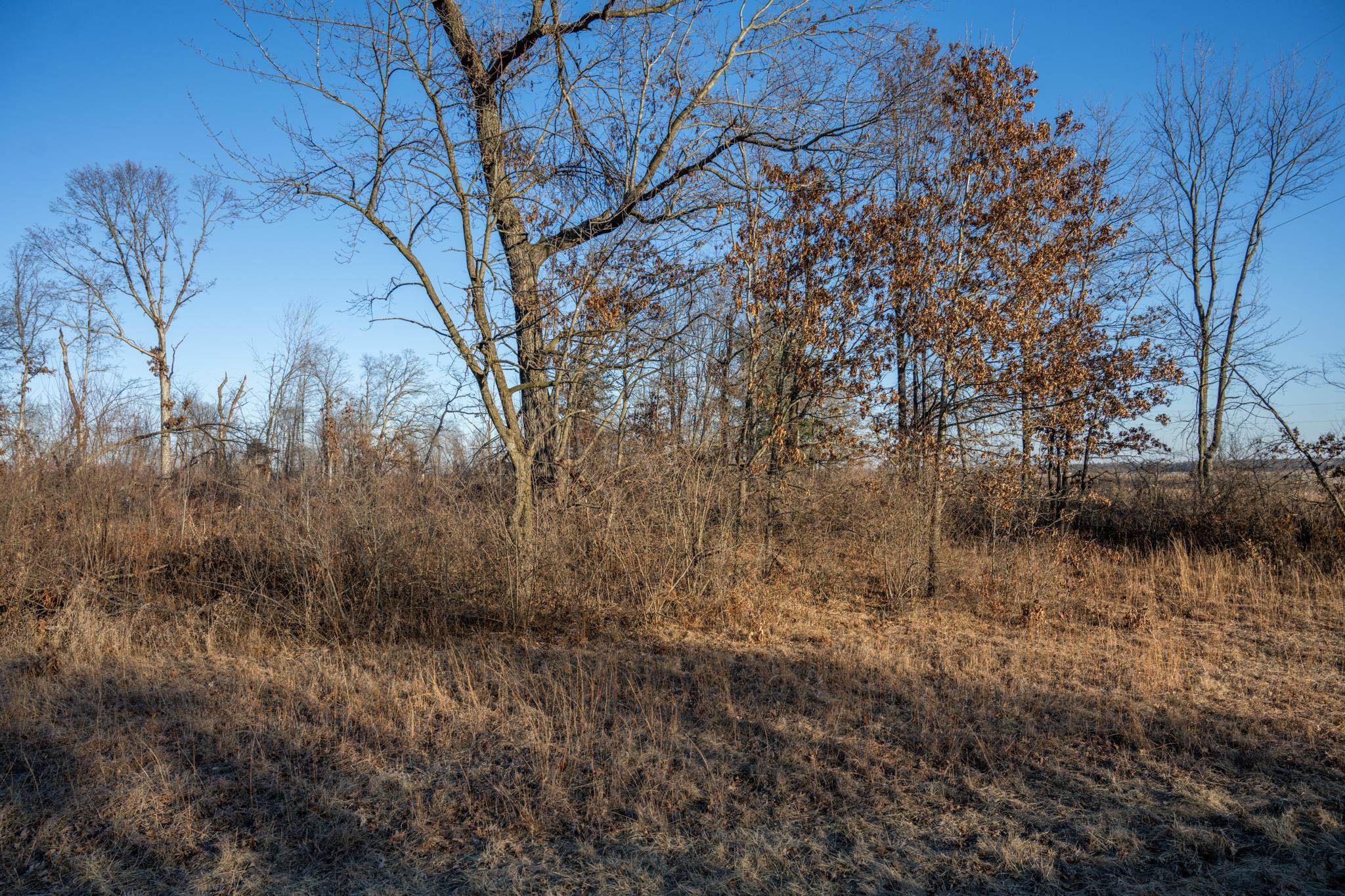Lot 1 Grosbeak Tomah, WI 54660 - Photo 23 of 24