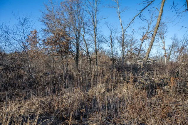 $8,000 | Lot 1 Grosbeak, Tomah, WI 54660