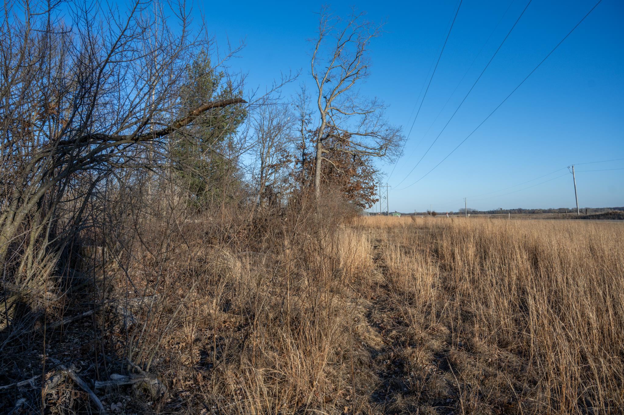 Lot 1 Grosbeak Tomah, WI 54660 - Photo 9 of 24