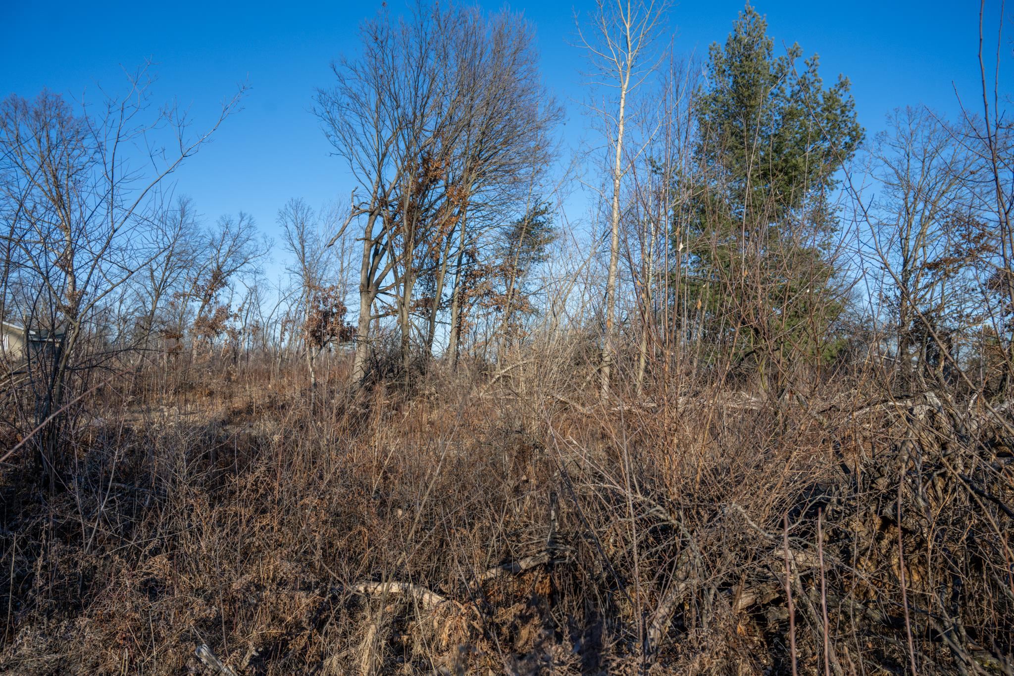 Lot 1 Grosbeak Tomah, WI 54660 - Photo 10 of 24