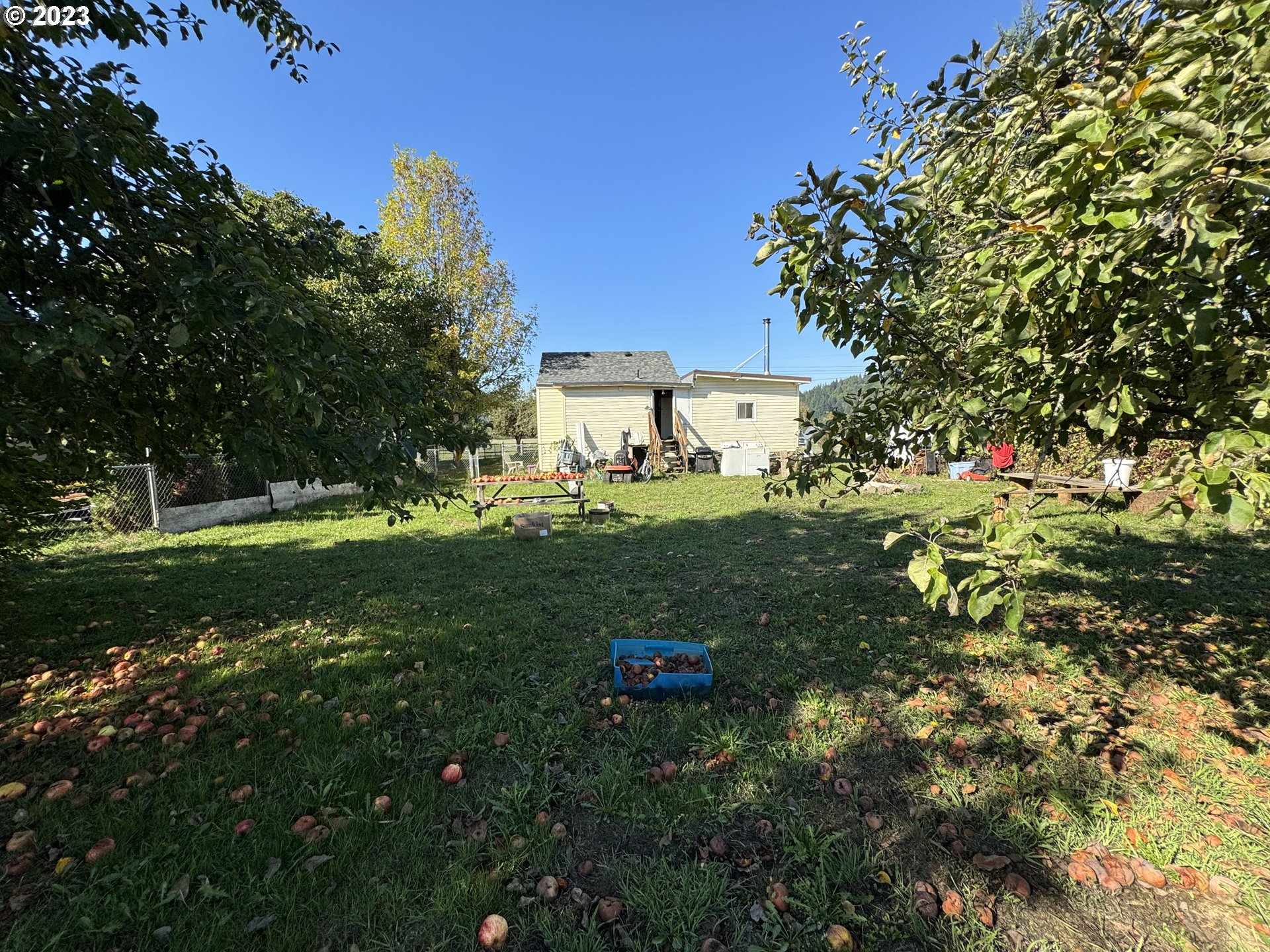 Yard