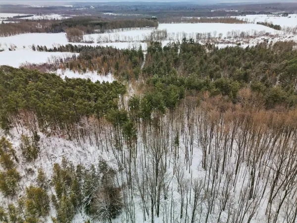 $149,900 | 17 17 Mile Road, Leroy, MI 49655