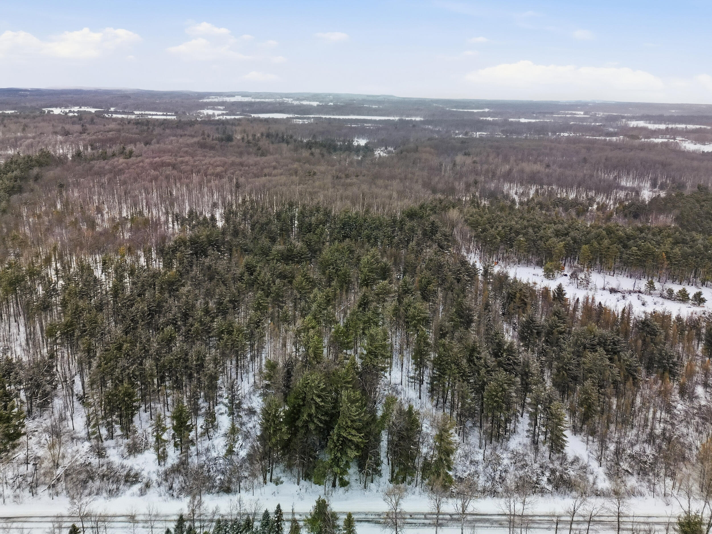 17 17 Mile Road Leroy, MI 49655 - Photo 14 of 15 A-4 (9)