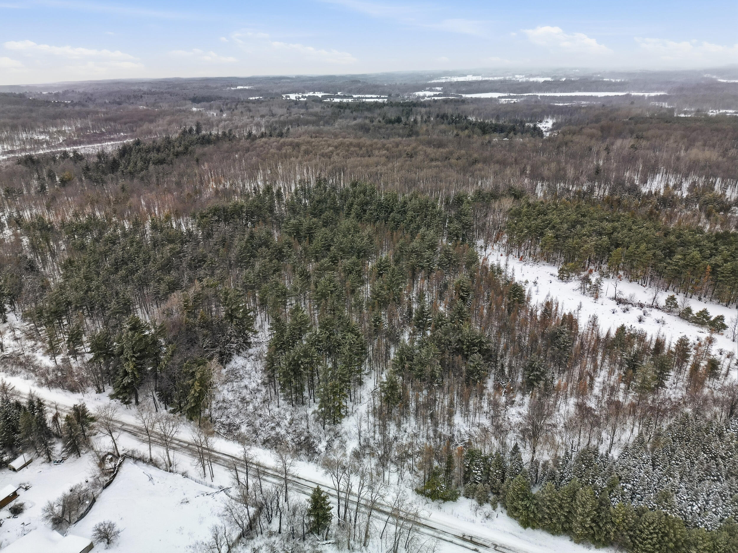 17 17 Mile Road Leroy, MI 49655 - Photo 15 of 15 A-2 (8)