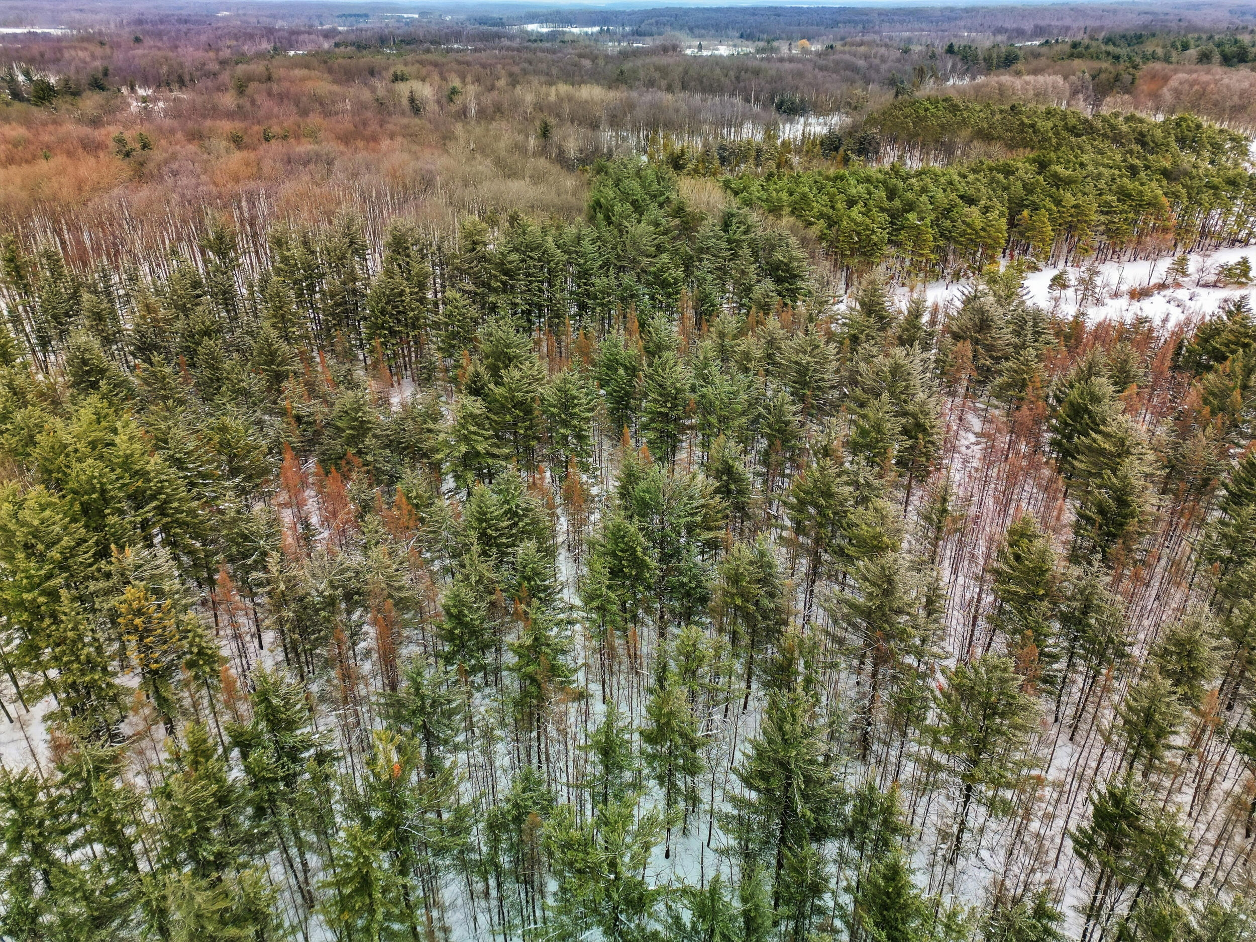 17 17 Mile Road Leroy, MI 49655 - Photo 3 of 15 A-17 (6)