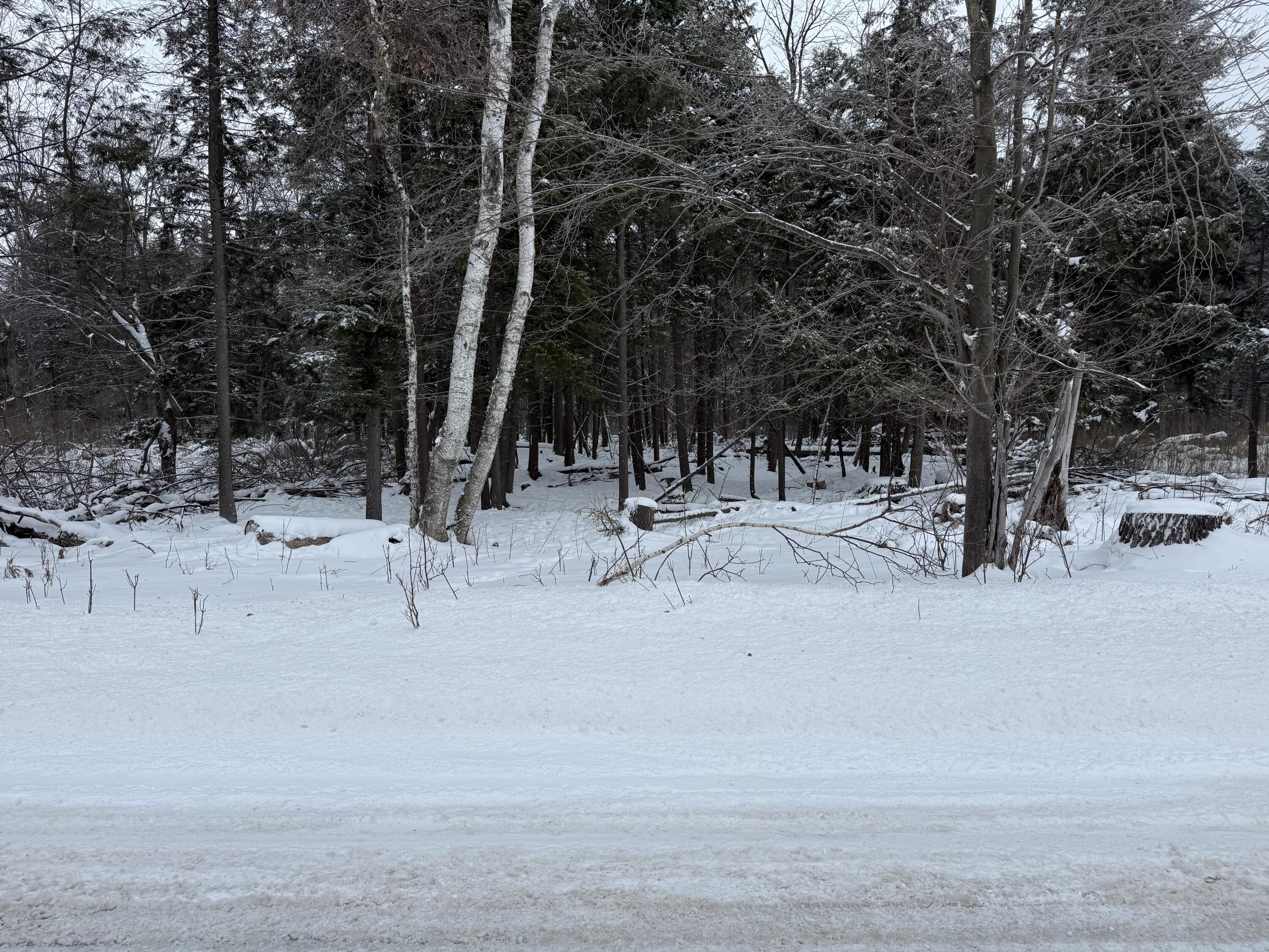 17 17 Mile Road Leroy, MI 49655 - Photo 6 of 15 IMG_3925