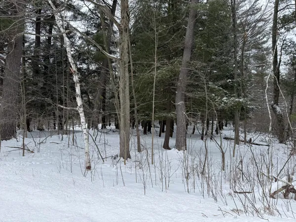 $149,900 | 17 17 Mile Road, Leroy, MI 49655