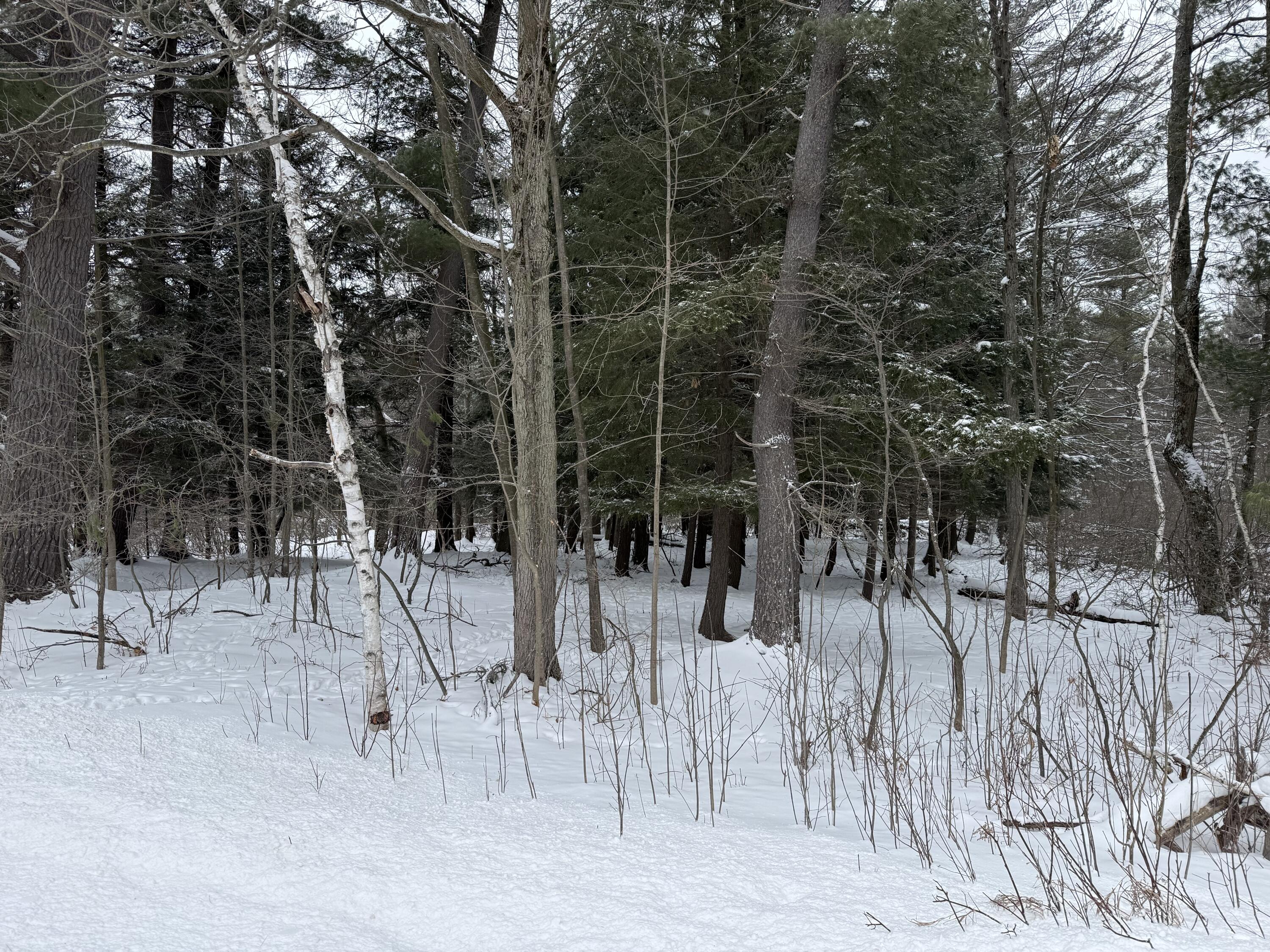 17 17 Mile Road Leroy, MI 49655 - Photo 7 of 15 IMG_3928