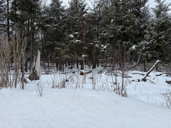 $149,900 | 17 17 Mile Road, Leroy, MI 49655