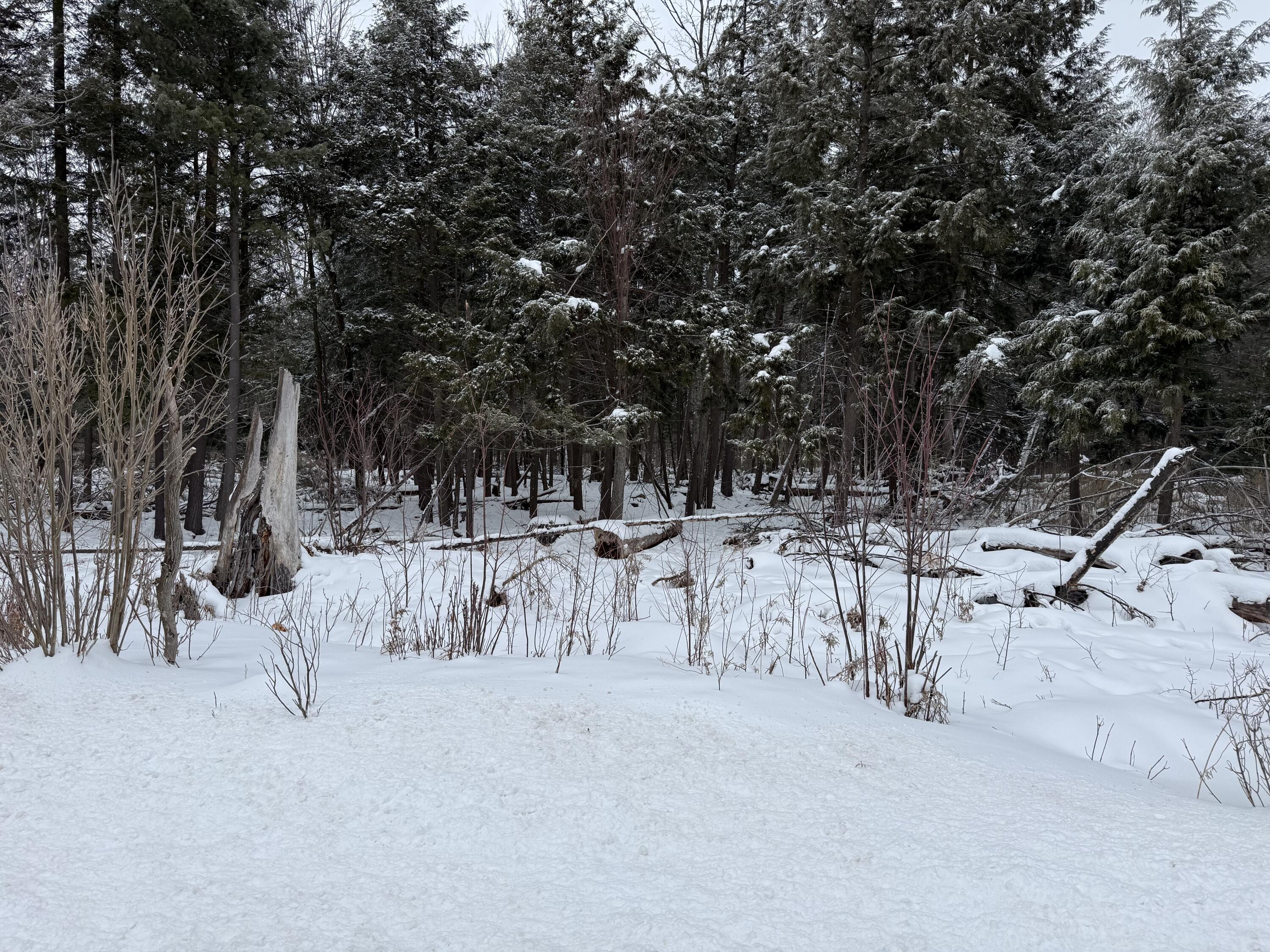 17 17 Mile Road Leroy, MI 49655 - Photo 8 of 15 IMG_3930