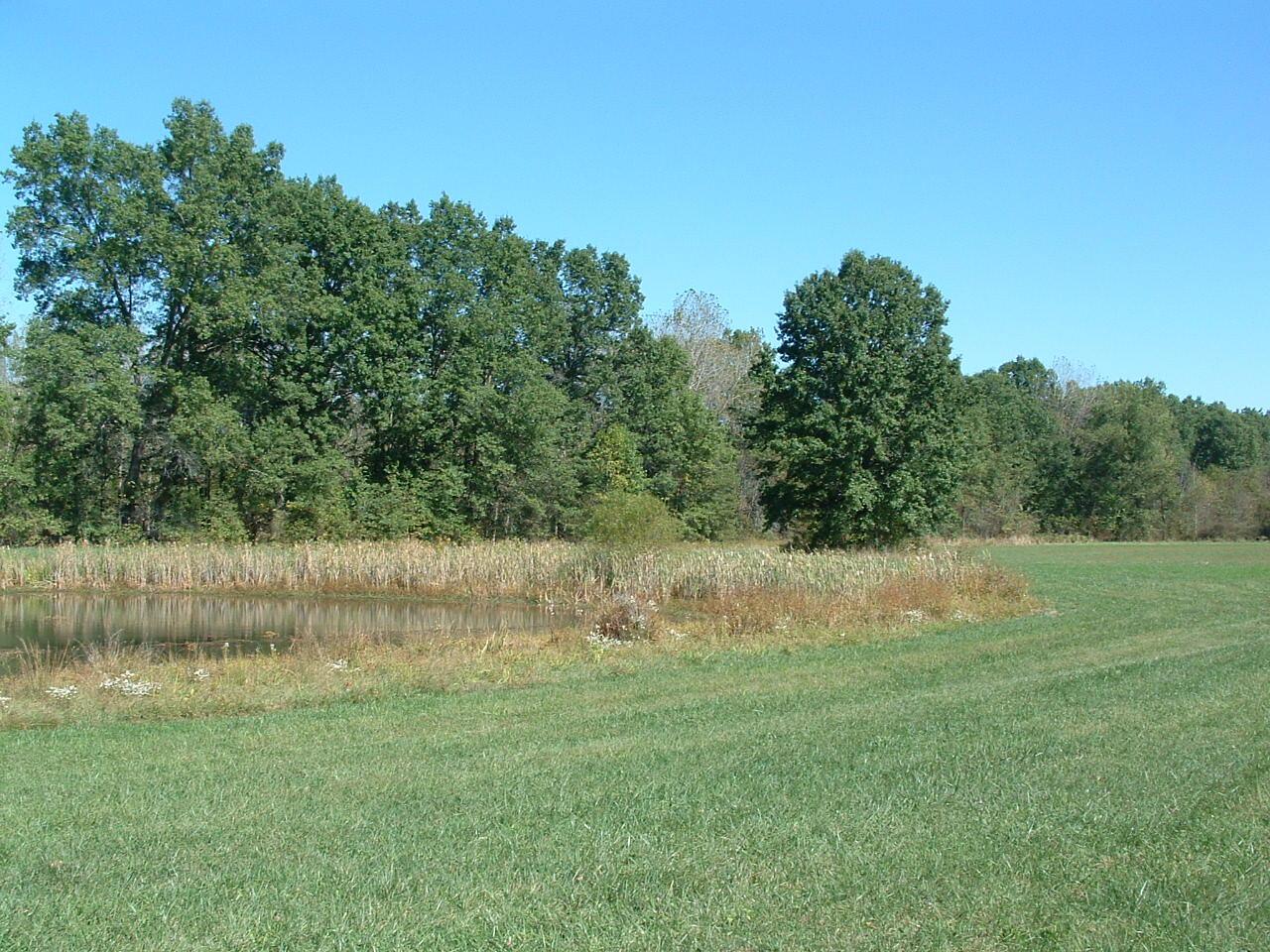 0 Nichols Lane Road Northwest Johnstown, OH 43031 - Photo 11 of 22 DSCF0008