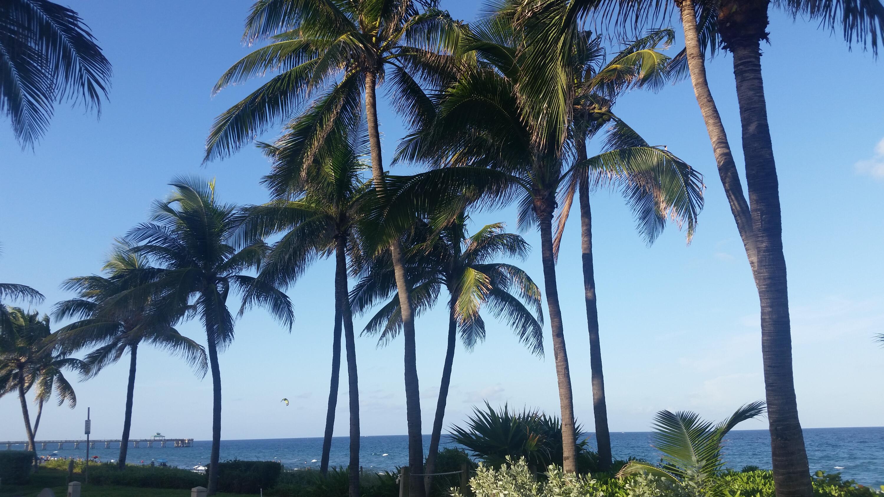 8129 South Street Boca Raton, FL 33433 - Photo 25 of 28 Beautiful Beaches Near By