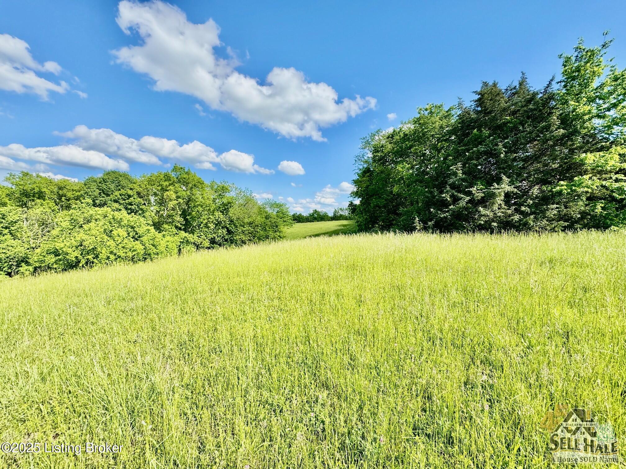 3200 Chaplin Road Willisburg, KY 40078 - Photo 8 of 10 IMG_2560