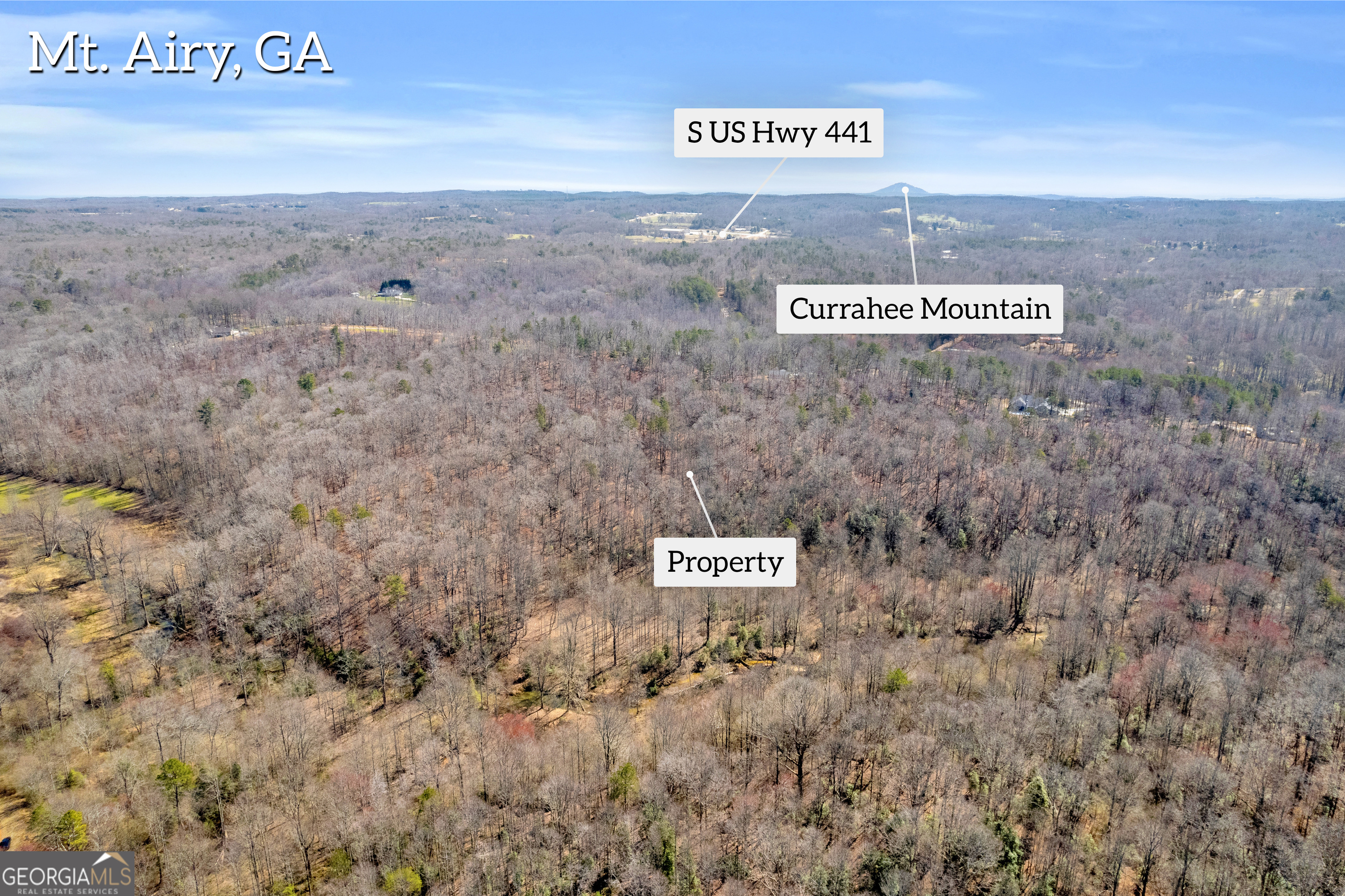 0 Gladston Road Mount Airy, GA 30563 - Photo 30 of 52 Gallery Image 30