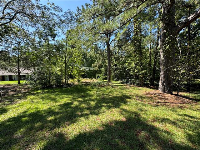 Tbd Trinity Church Road Pineville, LA 71360 - Photo 11 of 19