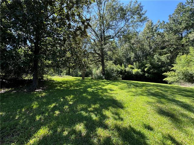 Tbd Trinity Church Road Pineville, LA 71360 - Photo 2 of 19