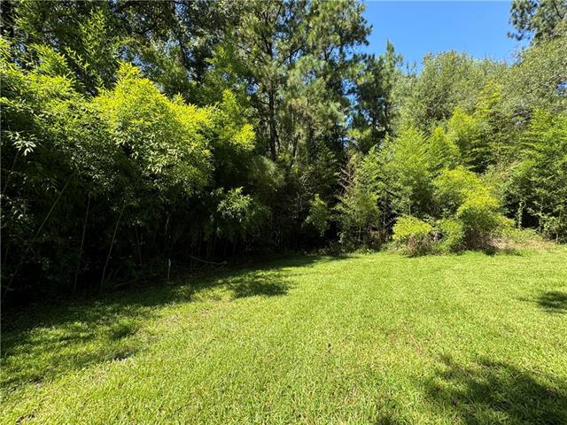 Tbd Trinity Church Road Pineville, LA 71360 - Photo 3 of 19