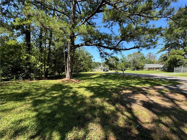 Tbd Trinity Church Road Pineville, LA 71360 - Photo 5 of 19