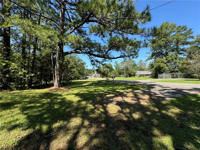 Tbd Trinity Church Road Pineville, LA 71360 - Photo 6 of 19