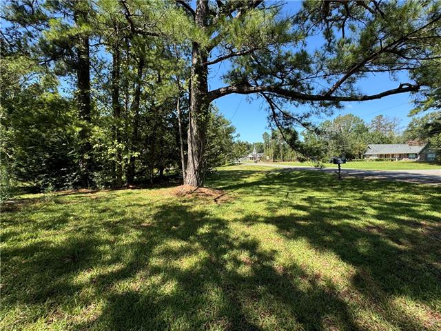 Tbd Trinity Church Road Pineville, LA 71360 - Photo 7 of 19