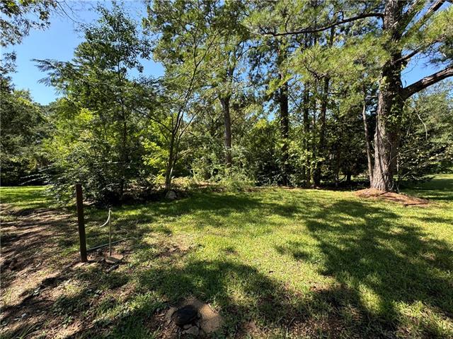 Tbd Trinity Church Road Pineville, LA 71360 - Photo 9 of 19