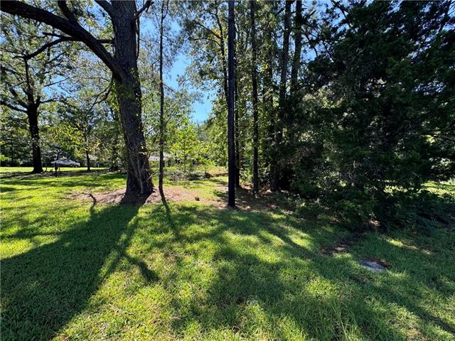 Tbd Trinity Church Road Pineville, LA 71360 - Photo 10 of 19