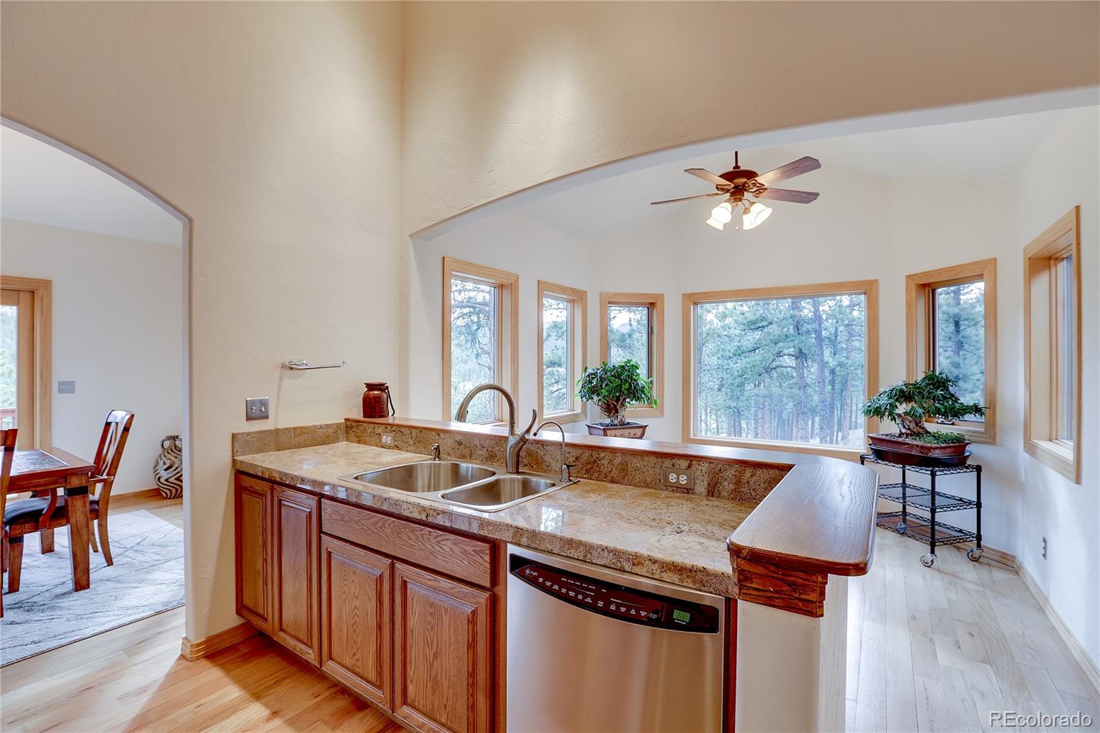 134 Hangmans Road Bailey, CO 80421 - Photo 11 of 35