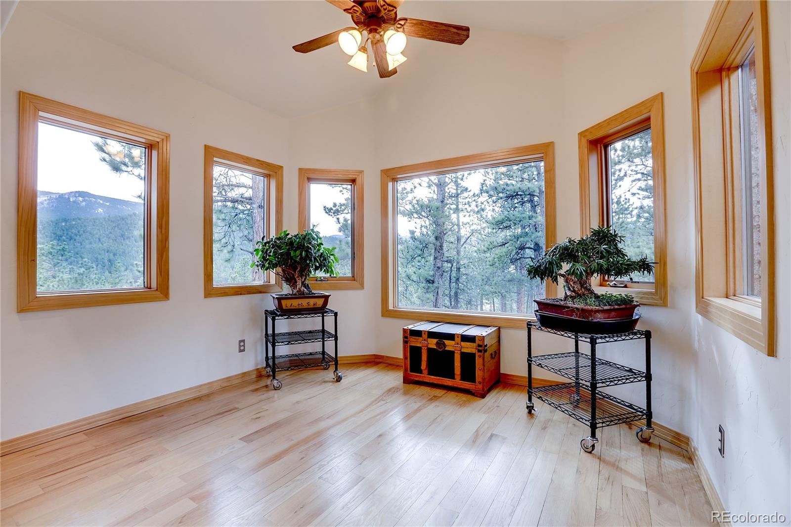 134 Hangmans Road Bailey, CO 80421 - Photo 12 of 35
