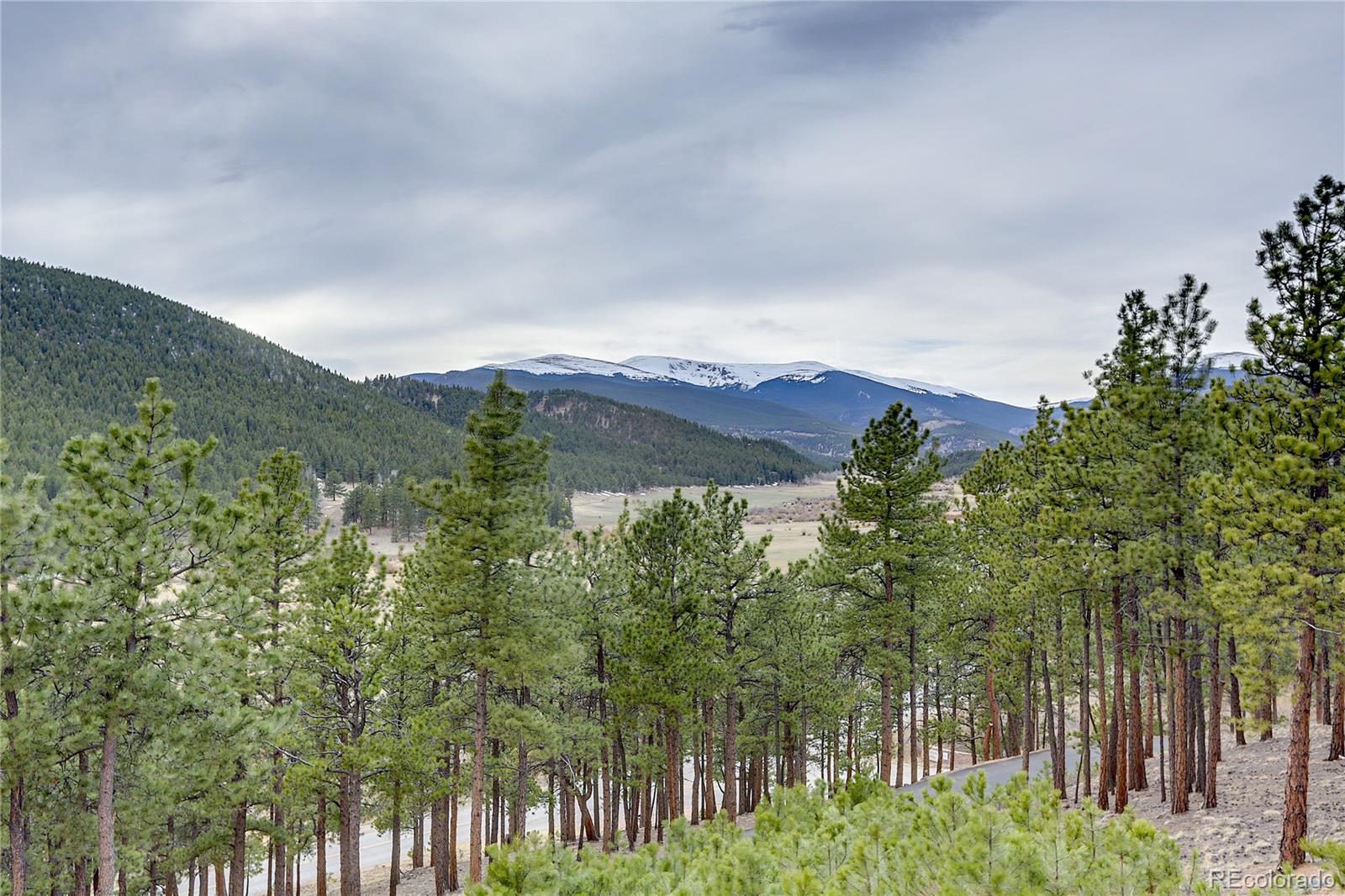 134 Hangmans Road Bailey, CO 80421 - Photo 2 of 35