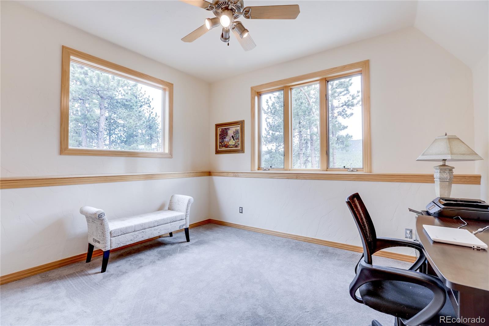 134 Hangmans Road Bailey, CO 80421 - Photo 31 of 35