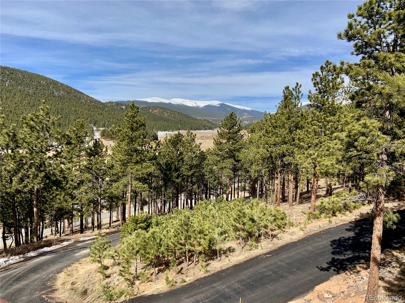 134 Hangmans Road Bailey, CO 80421 - Photo 35 of 35