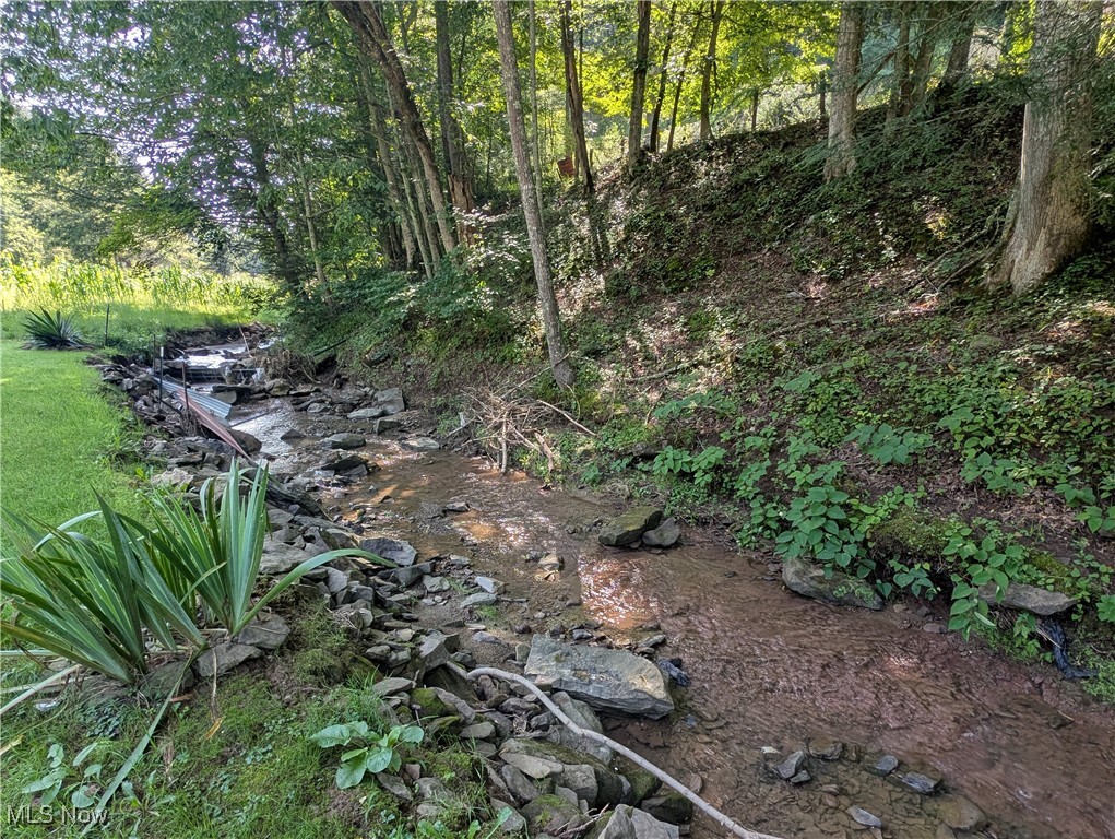 422 Sand Ridge Road Arnoldsburg, WV 25234 - Photo 9 of 23