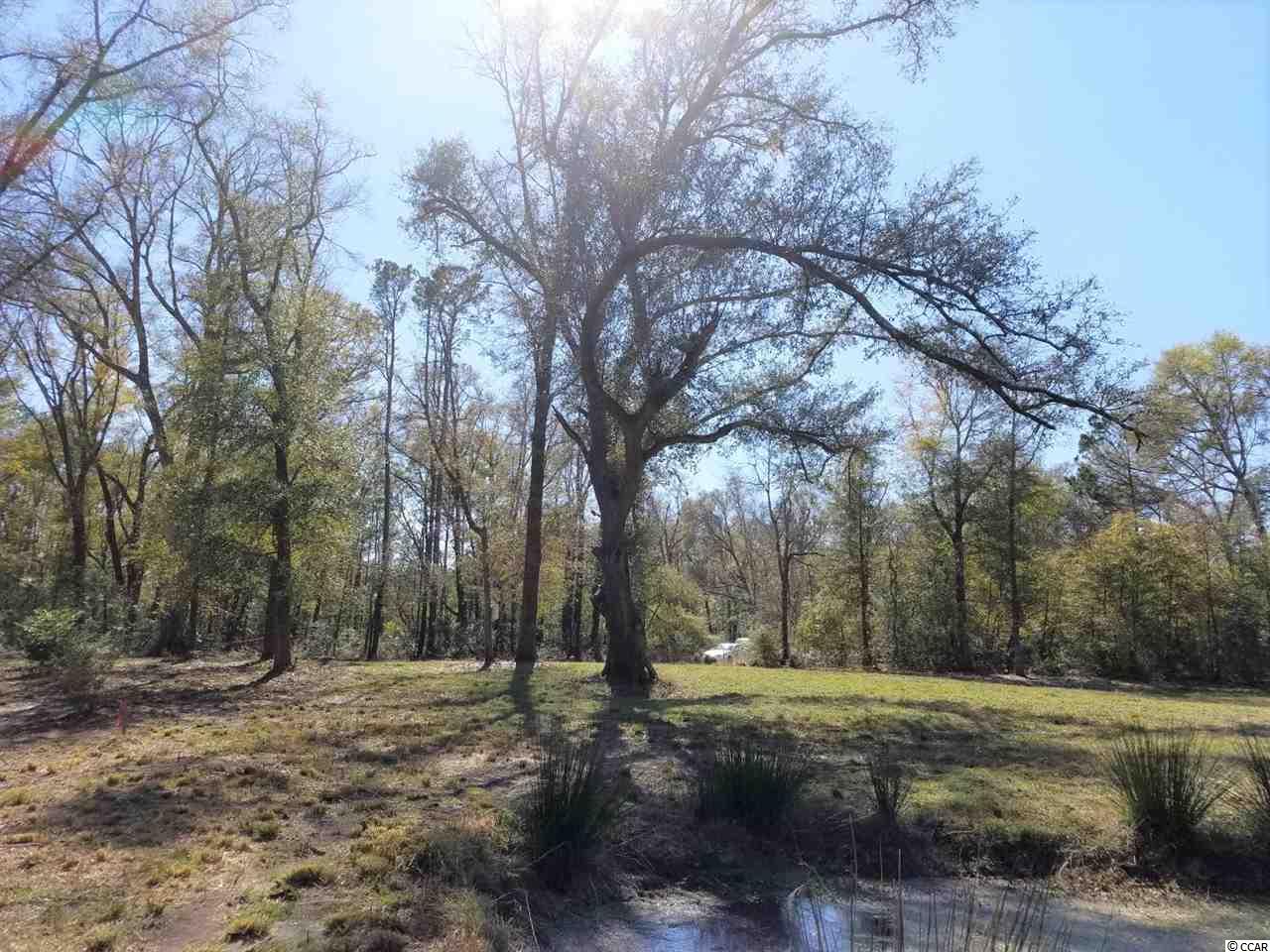 Old River Road Murrells Inlet, SC 29576 - Photo 2 of 12 Gallery Image 2