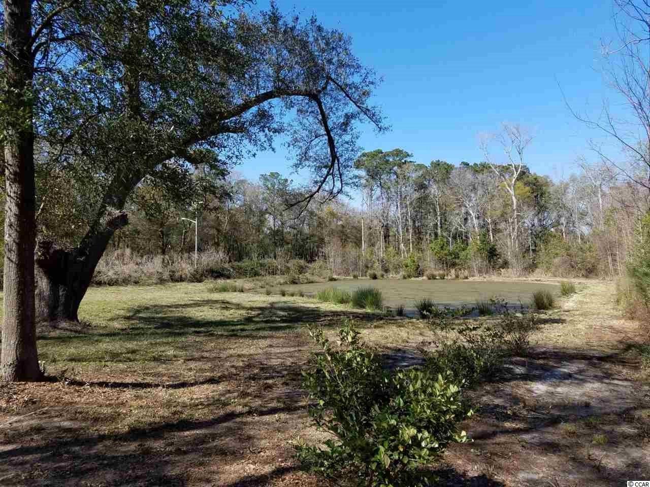 Old River Road Murrells Inlet, SC 29576 - Photo 3 of 12 Gallery Image 3