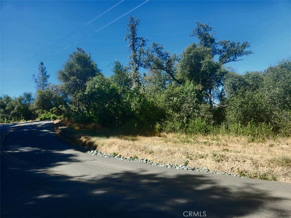 047-048 Texas Hill Road Oregon House, CA 95962 - Photo 11 of 34 a view of a yard street